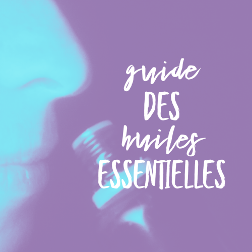 Guide des HE