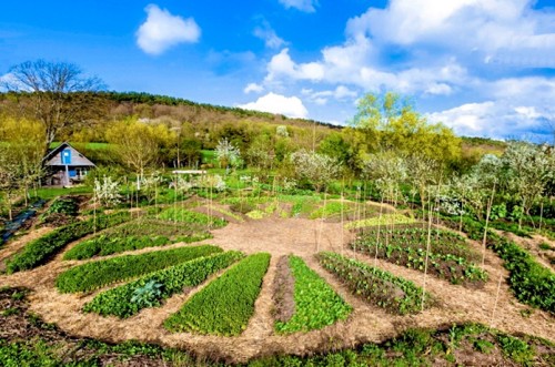 Un mandala au jardin