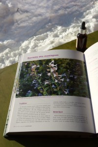 Fleurentin's book aroma