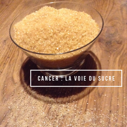 Cancer, la voie du sucre